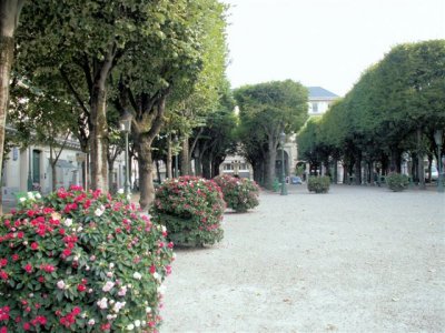 PICT0096.JPG