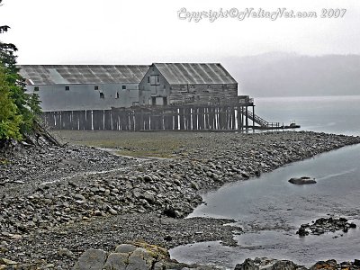 Salmon Cannery