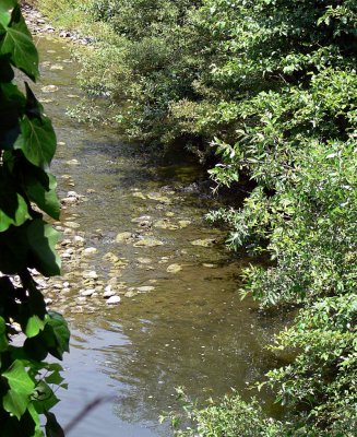 Creek Below the Tasting Room