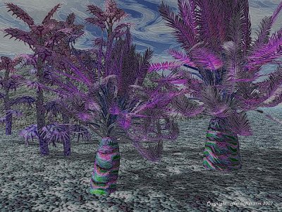 The Palms of Proliandor - click on image to see full sized