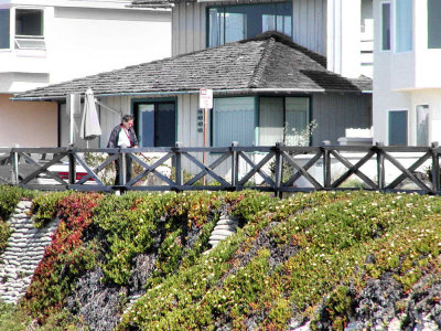 Frank Walking Charlie next to the Beach