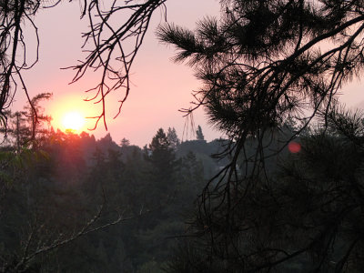 Sunrise