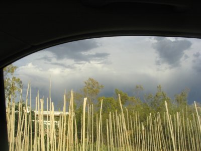 View from the car by Alex