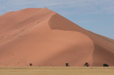 DSC_6337.jpg
