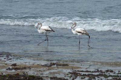 DSC_6539.jpg