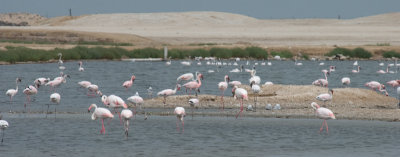 DSC_6615.jpg