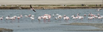 DSC_6618.jpg
