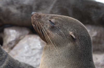 DSC_6666.jpg