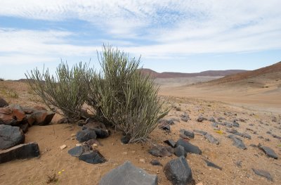 DSC_6719.jpg