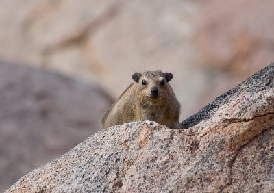 DSC_6850.jpg