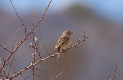 DSC_6852.jpg