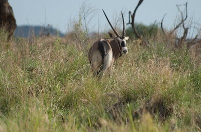DSC_6863.jpg