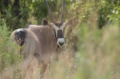 DSC_6873.jpg