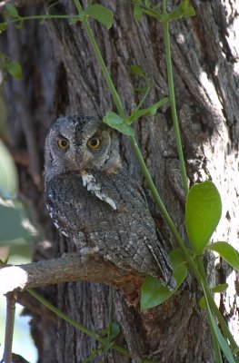 DSC_7004.jpg