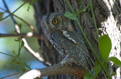 DSC_7008.jpg