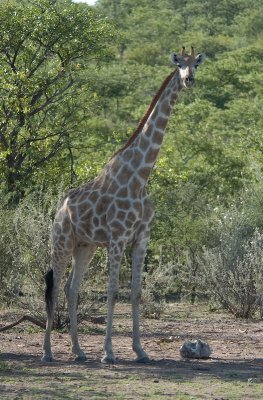 DSC_7055.jpg
