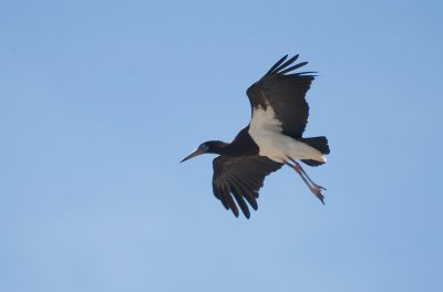 DSC_7168.jpg