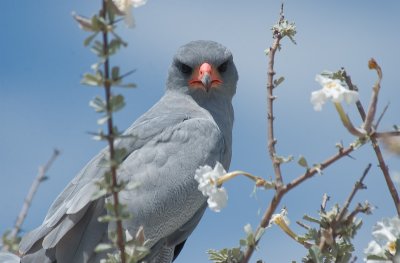 DSC_7188.jpg