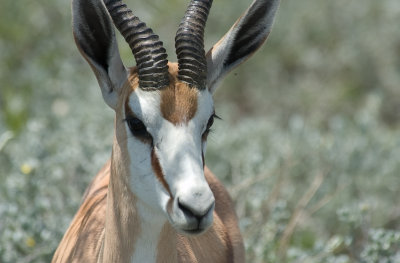 DSC_7205.jpg