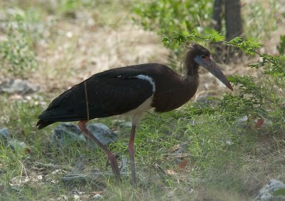 DSC_7243.jpg