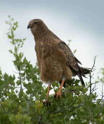 DSC_7272.jpg
