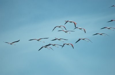 DSC_7288.jpg