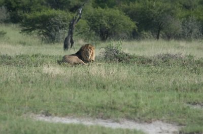 DSC_7291.jpg