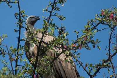 DSC_7297.jpg