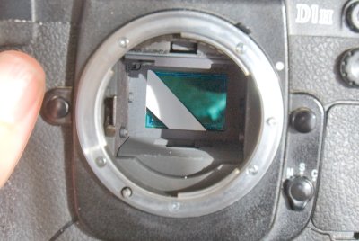 DSC_1262.jpg