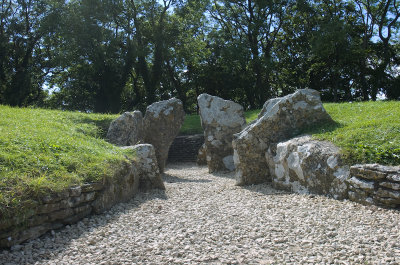 DSC_0100.jpg