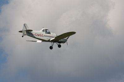 DSC_0113.jpg