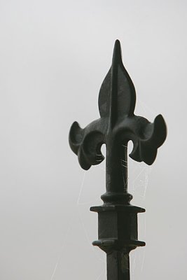 JJ2M3882.jpg