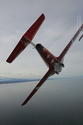 JJ2M6072.jpg