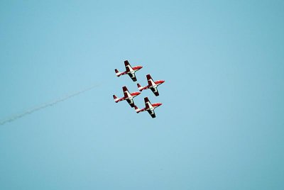83BD4290.jpg