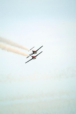 83BD4333.jpg