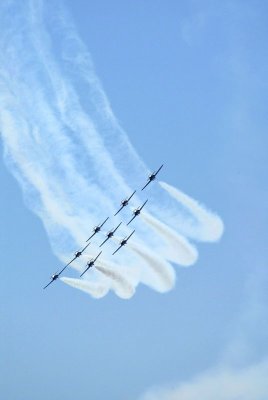 83BD4609.jpg