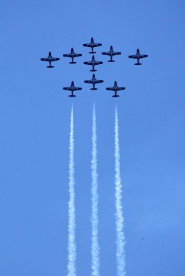 83BD4833.jpg