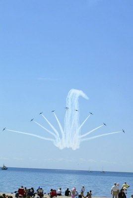 83BD4880.jpg