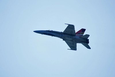 JJ2M0608.jpg