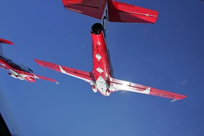JJ2M8584.jpg