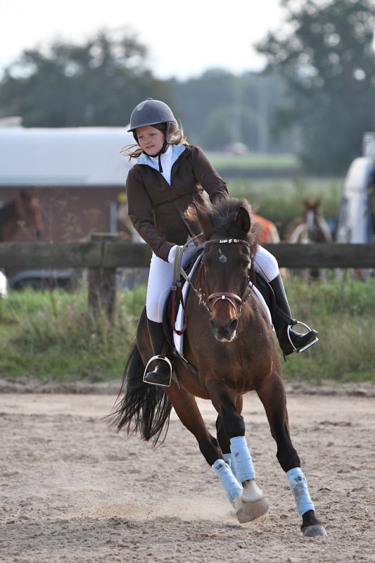 equitation W5.jpg