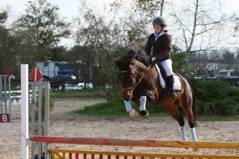 equitation W3.jpg