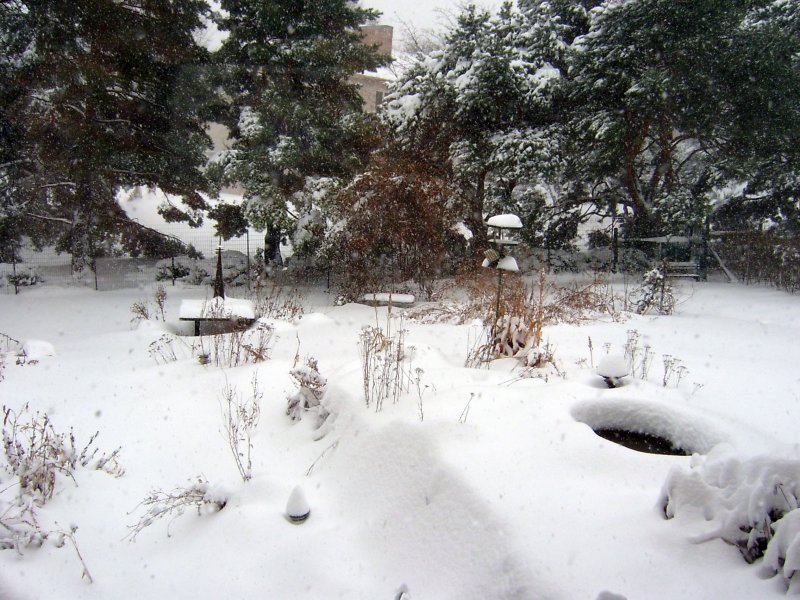 Snow 12-31-06