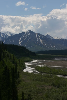 IMG_6403.JPG