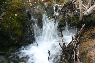 IMG_6591.JPG