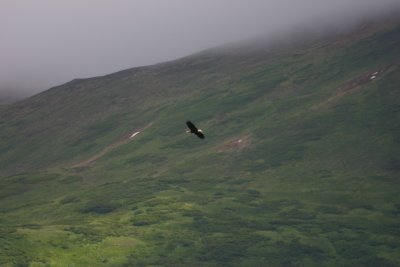 IMG_6927.JPG