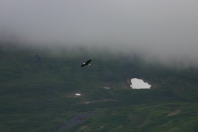 IMG_6932.JPG
