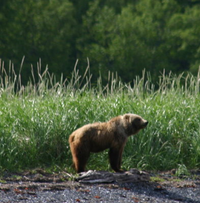 IMG_7005.JPG