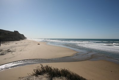 IMG_4717.JPG