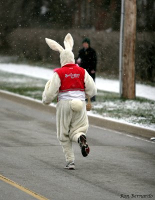 EASTER BUNNY IS ON HIS WAY
